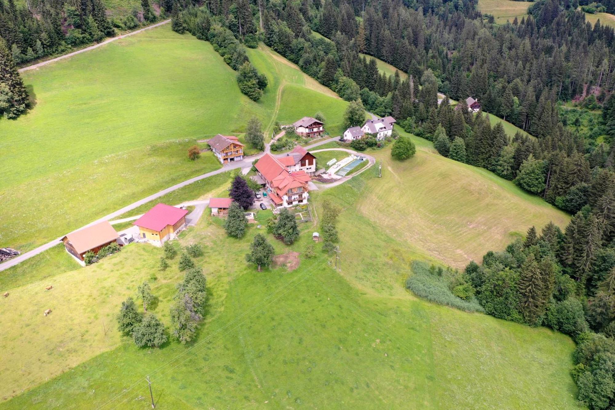Bergbauernhof Schluder Daire Hermagor-Pressegger See Dış mekan fotoğraf